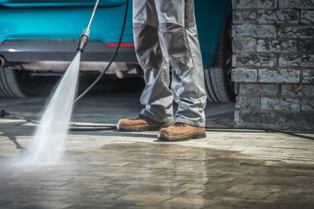Best Paint Preparation  in Centerport, NY